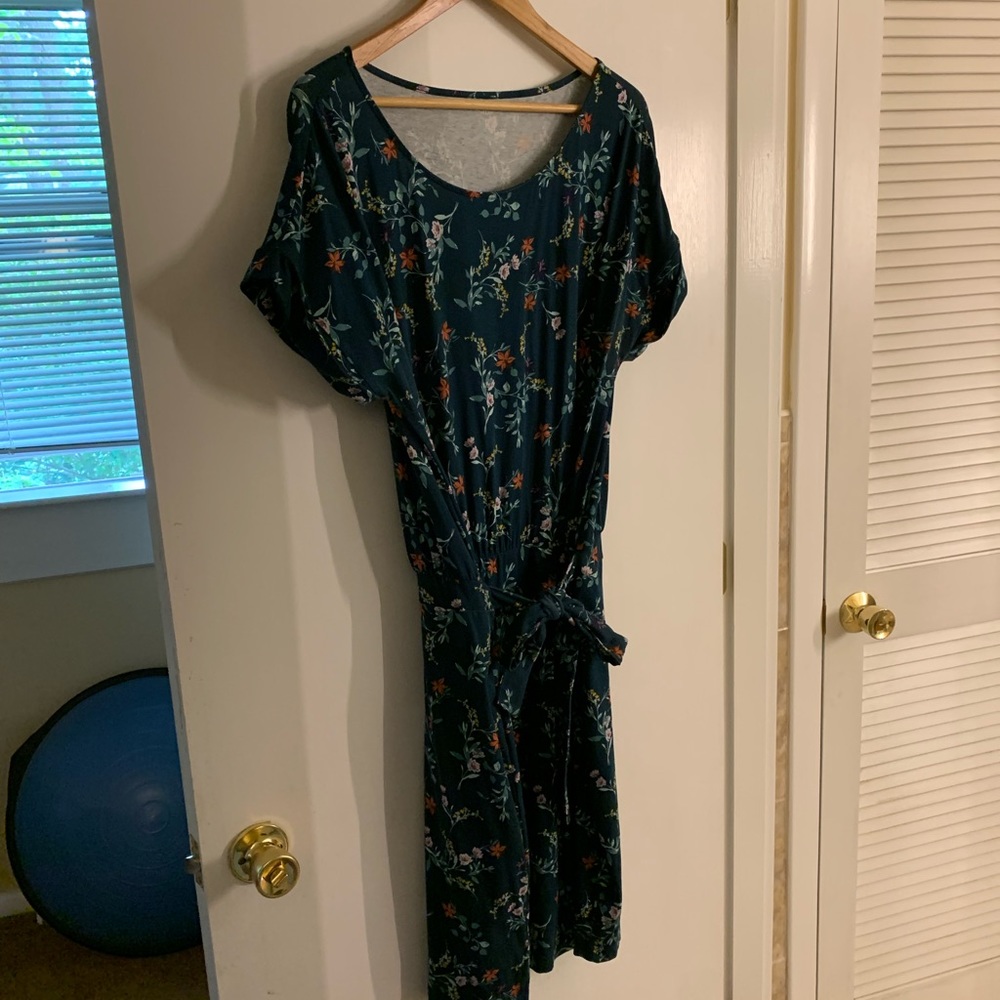 Green pima-cotton Garnet Hill dress.